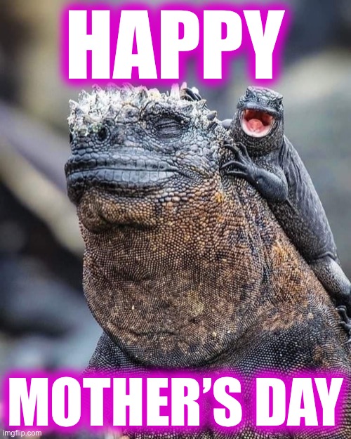 Happy Mother’s Day | HAPPY; MOTHER’S DAY | image tagged in mothers day | made w/ Imgflip meme maker