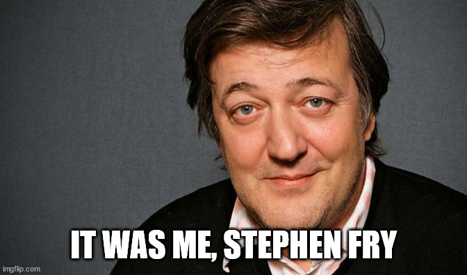 stephen fry | IT WAS ME, STEPHEN FRY | image tagged in stephen fry | made w/ Imgflip meme maker