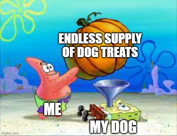 dog treats |  ENDLESS SUPPLY OF DOG TREATS; ME; MY DOG | image tagged in pumpkin spongebob,dog memes,treats,dog | made w/ Imgflip meme maker