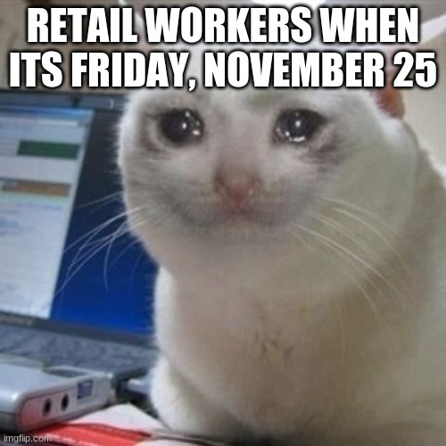 e | RETAIL WORKERS WHEN ITS FRIDAY, NOVEMBER 25 | image tagged in crying cat | made w/ Imgflip meme maker