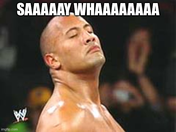 The Rock Smelling | SAAAAAY WHAAAAAAAA | image tagged in the rock smelling | made w/ Imgflip meme maker