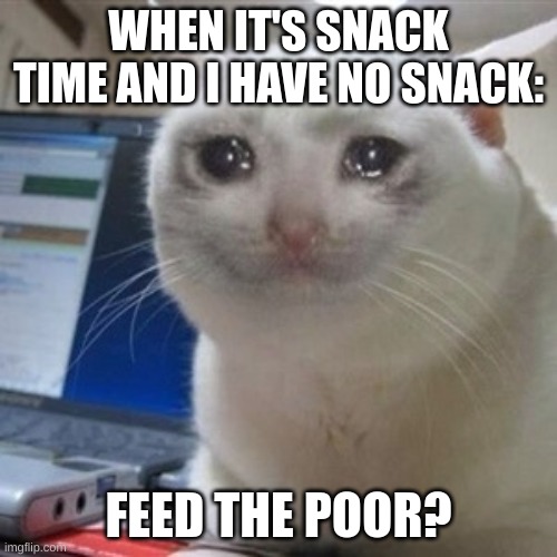food | WHEN IT'S SNACK TIME AND I HAVE NO SNACK:; FEED THE POOR? | image tagged in crying cat | made w/ Imgflip meme maker