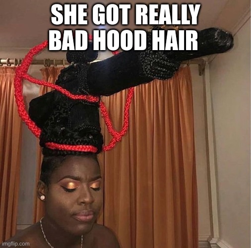 that hood hair | SHE GOT REALLY BAD HOOD HAIR | image tagged in hair,funny | made w/ Imgflip meme maker