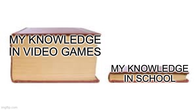 Big book small book | MY KNOWLEDGE IN VIDEO GAMES; MY KNOWLEDGE IN SCHOOL | image tagged in big book small book | made w/ Imgflip meme maker