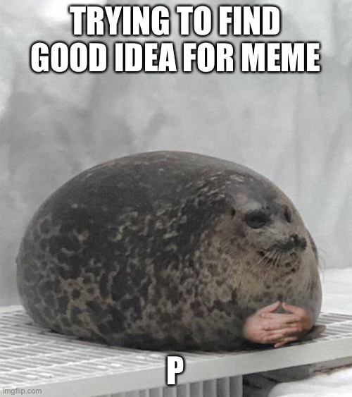 Seal waiting | TRYING TO FIND GOOD IDEA FOR MEME; P | image tagged in seal waiting | made w/ Imgflip meme maker