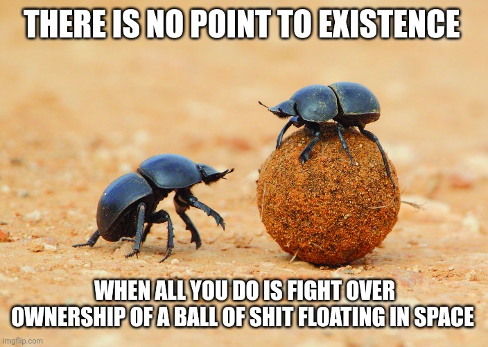 Dung beetle | THERE IS NO POINT TO EXISTENCE; WHEN ALL YOU DO IS FIGHT OVER OWNERSHIP OF A BALL OF SHIT FLOATING IN SPACE | image tagged in dung beetle | made w/ Imgflip meme maker