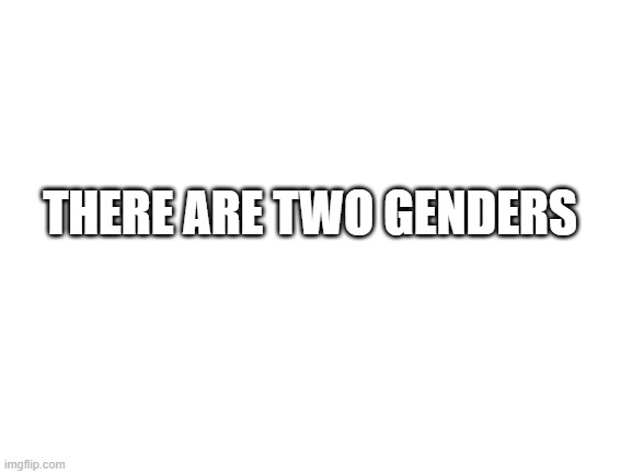 Blank White Template | THERE ARE TWO GENDERS | image tagged in blank white template | made w/ Imgflip meme maker