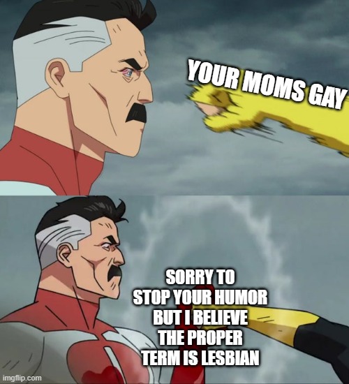i have ended gay moms jokes | YOUR MOMS GAY; SORRY TO STOP YOUR HUMOR BUT I BELIEVE THE PROPER TERM IS LESBIAN | image tagged in omni man blocks punch | made w/ Imgflip meme maker