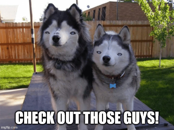 Those Guys.... | CHECK OUT THOSE GUYS! | image tagged in those guys | made w/ Imgflip meme maker