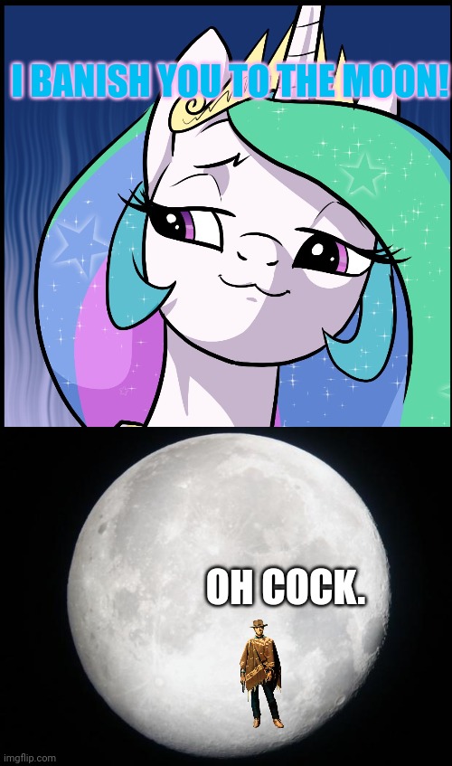 I BANISH YOU TO THE MOON! OH COCK. | image tagged in princess celestia,full moon | made w/ Imgflip meme maker