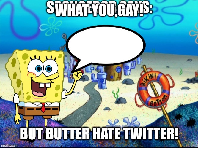 Spongebob Says: | WHAT YOU,GAY! BUT BUTTER HATE TWITTER! | image tagged in spongebob says | made w/ Imgflip meme maker