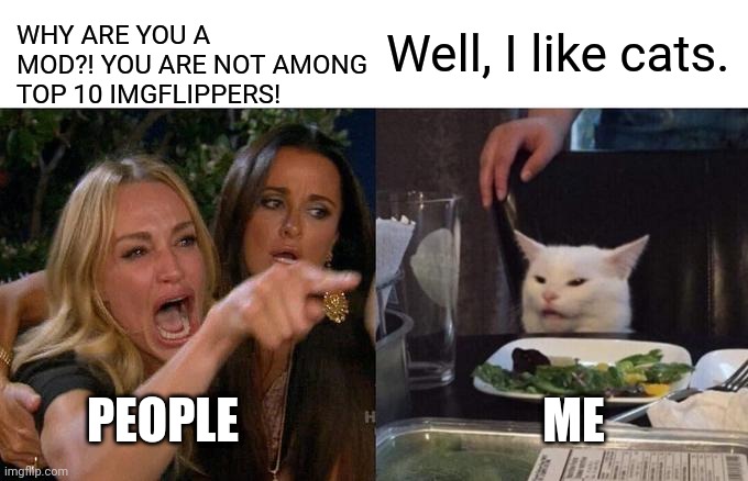 Thanks, AndrewFinlayson! | WHY ARE YOU A MOD?! YOU ARE NOT AMONG TOP 10 IMGFLIPPERS! Well, I like cats. PEOPLE; ME | image tagged in memes,woman yelling at cat | made w/ Imgflip meme maker