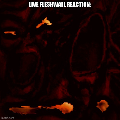 LIVE FLESHWALL REACTION: | made w/ Imgflip meme maker