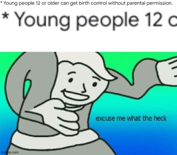 image tagged in excuse me what the heck | made w/ Imgflip meme maker