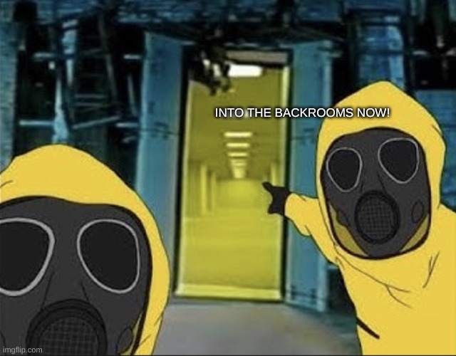 Hazmat men pointing at The Backrooms portal | INTO THE BACKROOMS NOW! | image tagged in hazmat men pointing at the backrooms portal | made w/ Imgflip meme maker