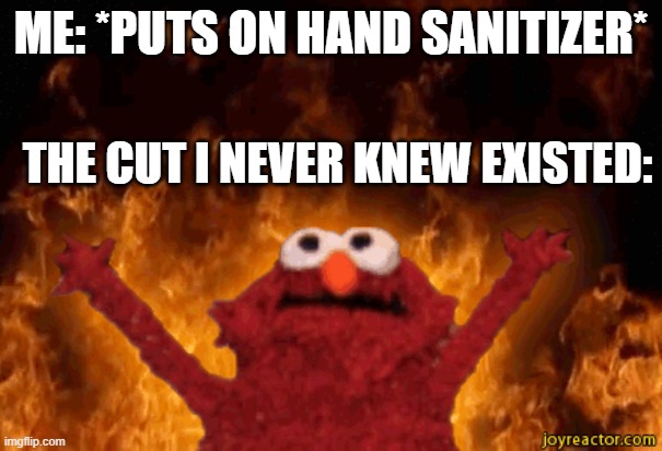 burning elmo | ME: *PUTS ON HAND SANITIZER*; THE CUT I NEVER KNEW EXISTED: | image tagged in burning elmo | made w/ Imgflip meme maker