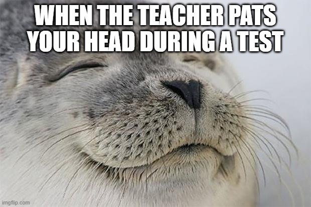 is it just me? | WHEN THE TEACHER PATS YOUR HEAD DURING A TEST | image tagged in memes,satisfied seal | made w/ Imgflip meme maker