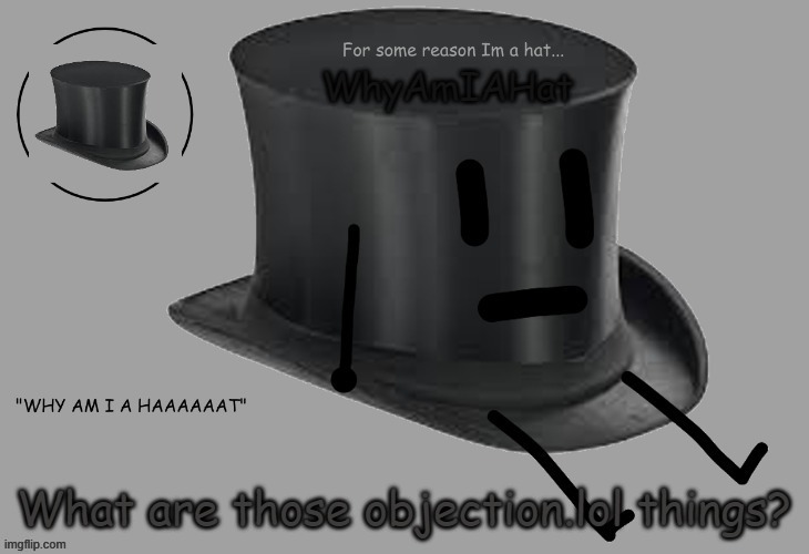 Hat announcement temp | What are those objection.lol things? | image tagged in hat announcement temp | made w/ Imgflip meme maker
