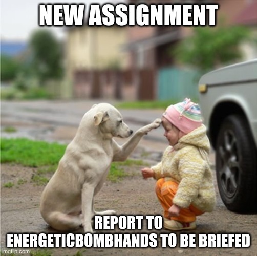 he will tell us the next plan of action | NEW ASSIGNMENT; REPORT TO ENERGETICBOMBHANDS TO BE BRIEFED | image tagged in dog bless you | made w/ Imgflip meme maker