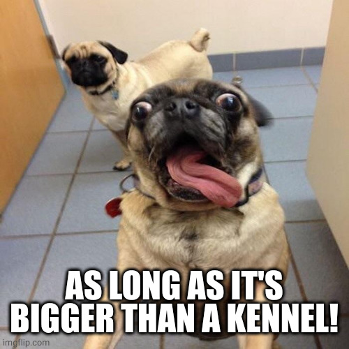 Excited dog | AS LONG AS IT'S BIGGER THAN A KENNEL! | image tagged in excited dog | made w/ Imgflip meme maker