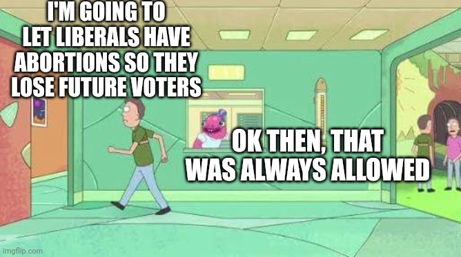 Ok then, that was always allowed! | I'M GOING TO LET LIBERALS HAVE ABORTIONS SO THEY LOSE FUTURE VOTERS OK THEN, THAT WAS ALWAYS ALLOWED | image tagged in ok then that was always allowed | made w/ Imgflip meme maker