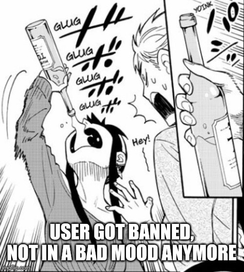 . | USER GOT BANNED, NOT IN A BAD MOOD ANYMORE | image tagged in e | made w/ Imgflip meme maker