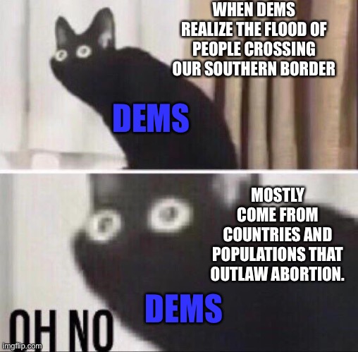 Cognitive Dissonance | WHEN DEMS REALIZE THE FLOOD OF PEOPLE CROSSING OUR SOUTHERN BORDER; DEMS; MOSTLY COME FROM COUNTRIES AND POPULATIONS THAT OUTLAW ABORTION. DEMS | image tagged in oh no cat | made w/ Imgflip meme maker