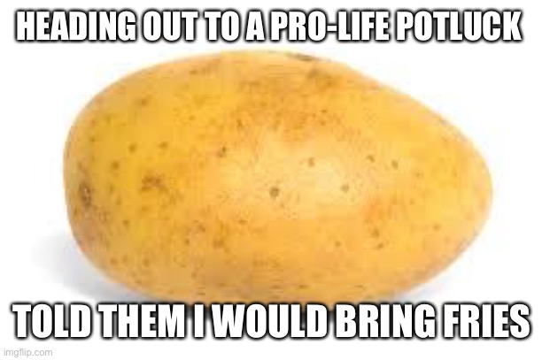 It’s not that hard of a concept, y’all | HEADING OUT TO A PRO-LIFE POTLUCK; TOLD THEM I WOULD BRING FRIES | image tagged in potato | made w/ Imgflip meme maker