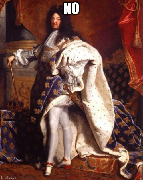 King Louis XIV (Sun King) | NO | image tagged in king louis xiv sun king | made w/ Imgflip meme maker