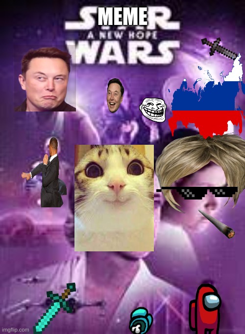 a new cat/ meme wars | MEME | image tagged in funny cats,star wars | made w/ Imgflip meme maker