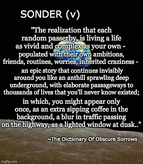Define: Sonder | SONDER (v); "The realization that each random passerby, is living a life as vivid and complex as your own -; populated with their own ambitions, friends, routines, worries, inherited craziness -; an epic story that continues invisibly around you like an anthill sprawling deep underground, with elaborate passageways to thousands of lives that you'll never know existed;; in which, you might appear only once, as an extra sipping coffee in the background, a blur in traffic passing on the highway, as a lighted window at dusk.."; ~The Dictionary Of Obscure Sorrows | image tagged in earth rise apollo 8,define sonder,dictionary of obscure sorrows | made w/ Imgflip meme maker
