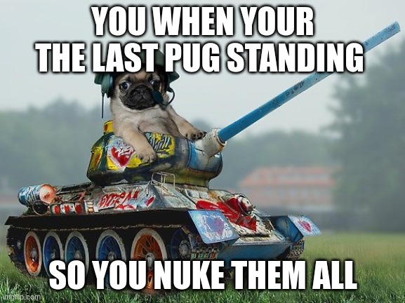 Army pug | YOU WHEN YOUR THE LAST PUG STANDING; SO YOU NUKE THEM ALL | image tagged in army pug | made w/ Imgflip meme maker