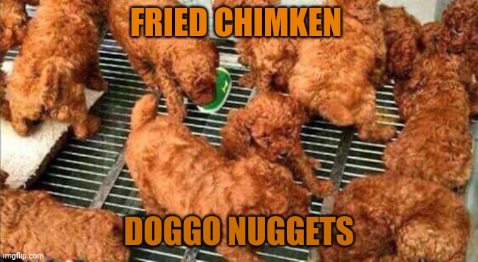FRIED CHIMKEN DOGGO NUGGETS | made w/ Imgflip meme maker