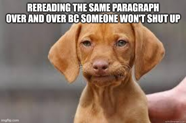 Disappointed Dog | REREADING THE SAME PARAGRAPH OVER AND OVER BC SOMEONE WON'T SHUT UP | image tagged in disappointed dog | made w/ Imgflip meme maker