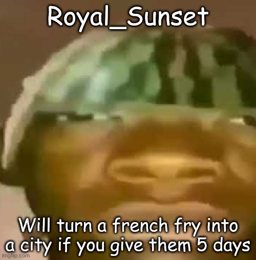 crap post 9: Royal_Sunset | Royal_Sunset; Will turn a french fry into a city if you give them 5 days | image tagged in shitpost | made w/ Imgflip meme maker