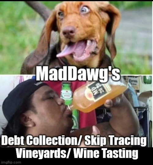 MadDawg's Inc | Vineyards/ Wine Tasting | image tagged in funny | made w/ Imgflip meme maker