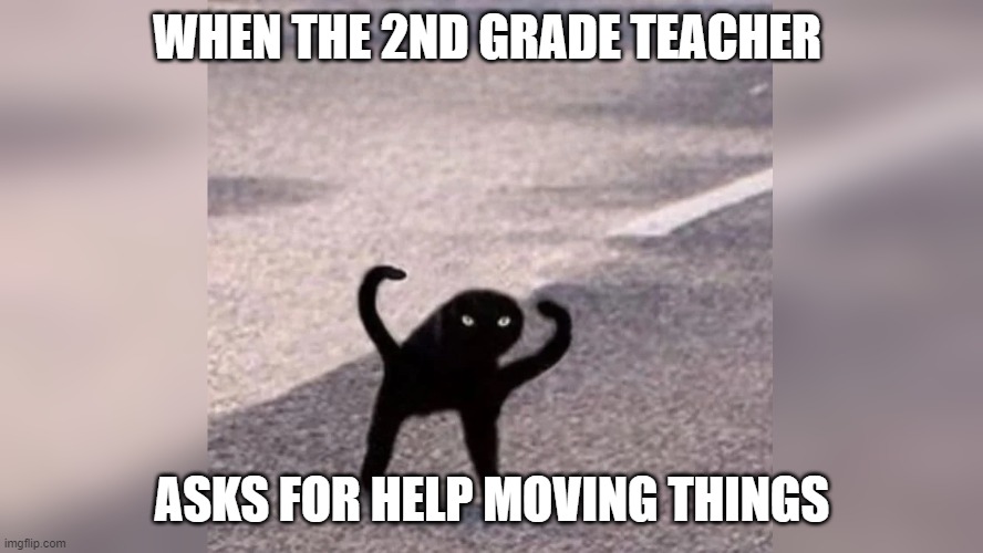 Cat Distorted | WHEN THE 2ND GRADE TEACHER; ASKS FOR HELP MOVING THINGS | image tagged in cat distorted | made w/ Imgflip meme maker