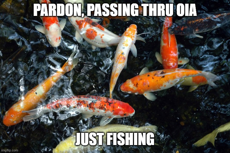 koi | PARDON, PASSING THRU OIA; JUST FISHING | image tagged in malakoi | made w/ Imgflip meme maker