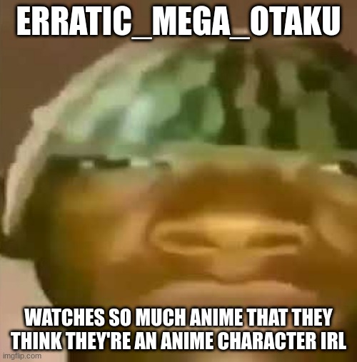crap post 15: erratic_mega_otaku | ERRATIC_MEGA_OTAKU; WATCHES SO MUCH ANIME THAT THEY THINK THEY'RE AN ANIME CHARACTER IRL | made w/ Imgflip meme maker