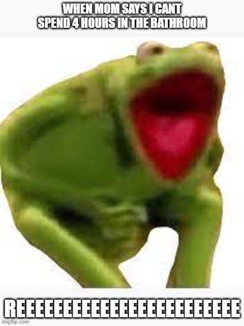 LET ME SHIT MOM |  WHEN MOM SAYS I CANT SPEND 4 HOURS IN THE BATHROOM; REEEEEEEEEEEEEEEEEEEEEEEE | image tagged in pooping,bathroom,kermit the frog,donald trump approves | made w/ Imgflip meme maker
