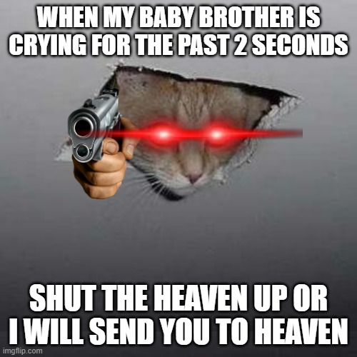 Ceiling Cat | WHEN MY BABY BROTHER IS CRYING FOR THE PAST 2 SECONDS; SHUT THE HEAVEN UP OR I WILL SEND YOU TO HEAVEN | image tagged in memes,ceiling cat | made w/ Imgflip meme maker