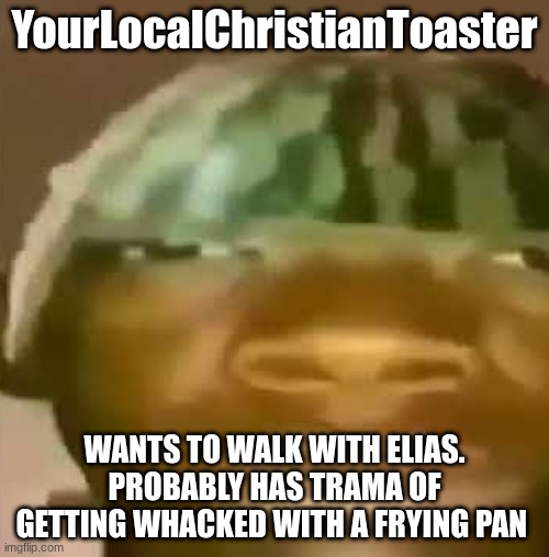 Crap Post 21: YourLocalChristianToaster | YourLocalChristianToaster; WANTS TO WALK WITH ELIAS. PROBABLY HAS TRAUMA OF GETTING WHACKED WITH A FRYING PAN | made w/ Imgflip meme maker
