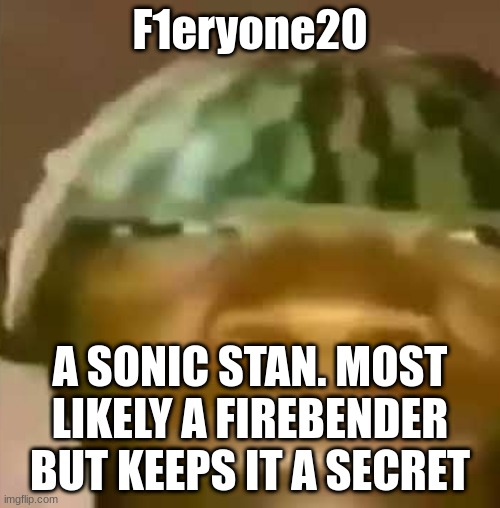 Crap Post 22: F1eryone20 | F1eryone20; A SONIC STAN. MOST LIKELY A FIREBENDER BUT KEEPS IT A SECRET | made w/ Imgflip meme maker