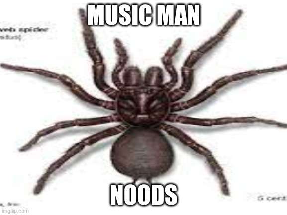 idk | MUSIC MAN; NOODS | image tagged in music man | made w/ Imgflip meme maker