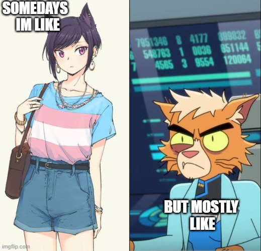 SOMEDAYS 
 IM LIKE; BUT MOSTLY
 LIKE | image tagged in transgender | made w/ Imgflip meme maker