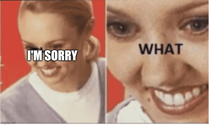 The WHAT | I'M SORRY | image tagged in the what | made w/ Imgflip meme maker