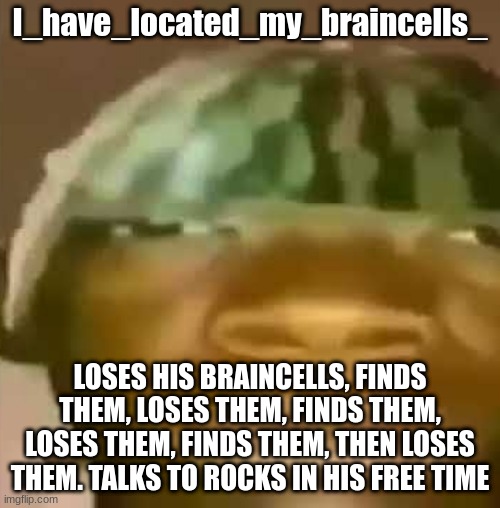 Crap Post 31: I_have_located_my_braincells_ | I_have_located_my_braincells_; LOSES HIS BRAINCELLS, FINDS THEM, LOSES THEM, FINDS THEM, LOSES THEM, FINDS THEM, THEN LOSES THEM. TALKS TO ROCKS IN HIS FREE TIME | made w/ Imgflip meme maker