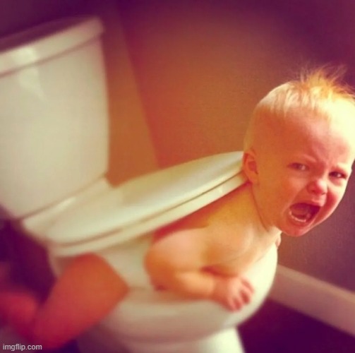 Trapped | image tagged in baby,toliet | made w/ Imgflip meme maker