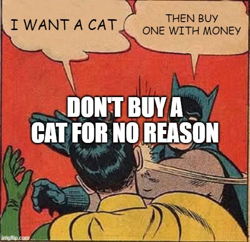 Batman Slapping Robin Meme | I WANT A CAT; THEN BUY ONE WITH MONEY; DON'T BUY A CAT FOR NO REASON | image tagged in memes,batman slapping robin | made w/ Imgflip meme maker