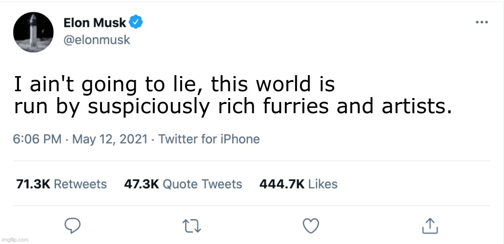 Elon Musk Blank Tweet | I ain't going to lie, this world is run by suspiciously rich furries and artists. | image tagged in elon musk blank tweet | made w/ Imgflip meme maker